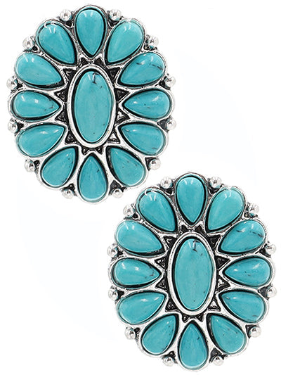 SIlver Tone Stone Stud Earrings